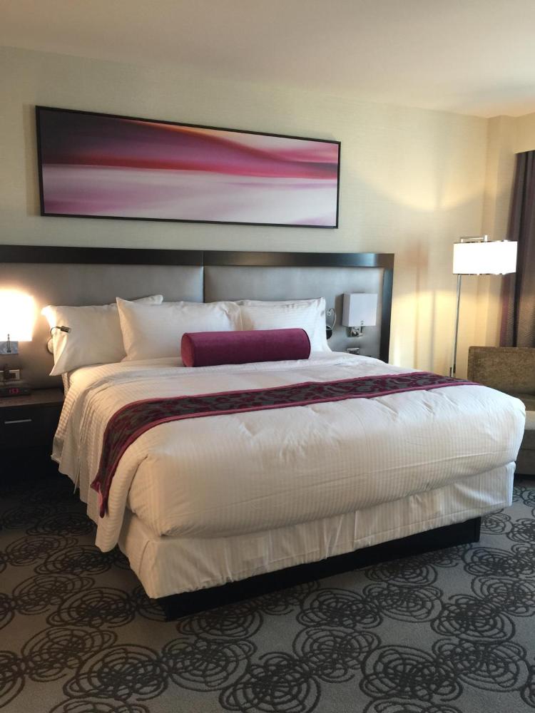 Deluxe King Suite interior